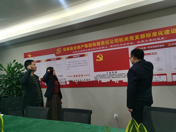 安徽鹽業(yè)地產(chǎn)集團(tuán)機(jī)關(guān)第一黨支部開展“佩黨徽、誦誓詞、贈(zèng)黨章、上黨課”黨員教育活動(dòng)